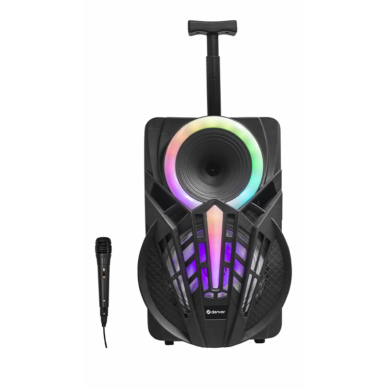 GetImage.jpeg DENVER TSP-301 8" Bluetooth Trolley Speaker - Image 1