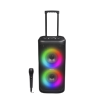 DENVER TSP-353 Dual 6,5’’ Trolley Speaker